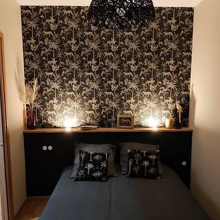 Superbe T2 Neuf Dans Maison De Maitre Hyper Centre Apartman *