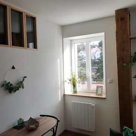 Superbe T2 Neuf Dans Maison De Maitre Hyper Centre * Épinal