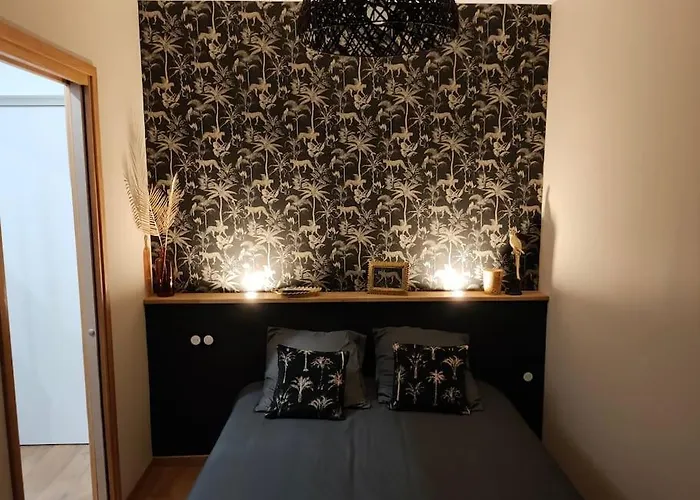 Superbe T2 Neuf Dans Maison De Maitre Hyper Centre アパート *