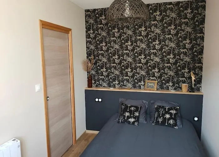 Superbe T2 Neuf Dans Maison De Maitre Hyper Centre