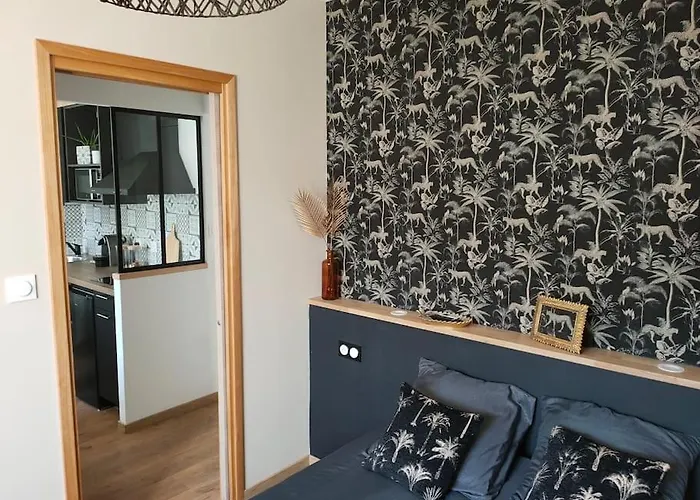 Superbe T2 Neuf Dans Maison De Maitre Hyper Centre * エピナル